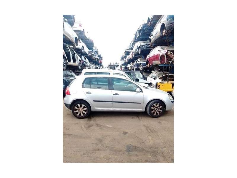 VOLKSWAGEN GOLF V (1K1)(10.20032008)