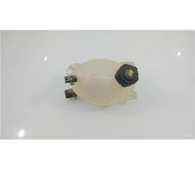 BOTELLA EXPANSION 217107259R 