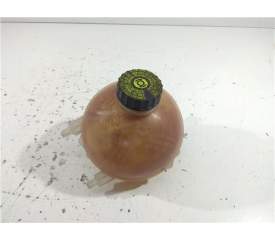 BOTELLA EXPANSION 