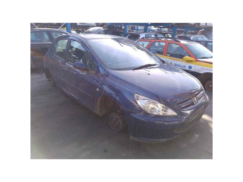 PEUGEOT 307 (S1)