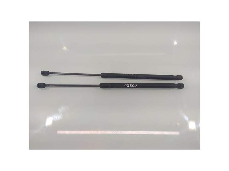 Recambio de amortiguador porton para mercedes-benz clase a (bm 169)(06.2004) 2.0 a 180 cdi (169.007) [2,0 ltr. - 80 kw cdi cat] 
