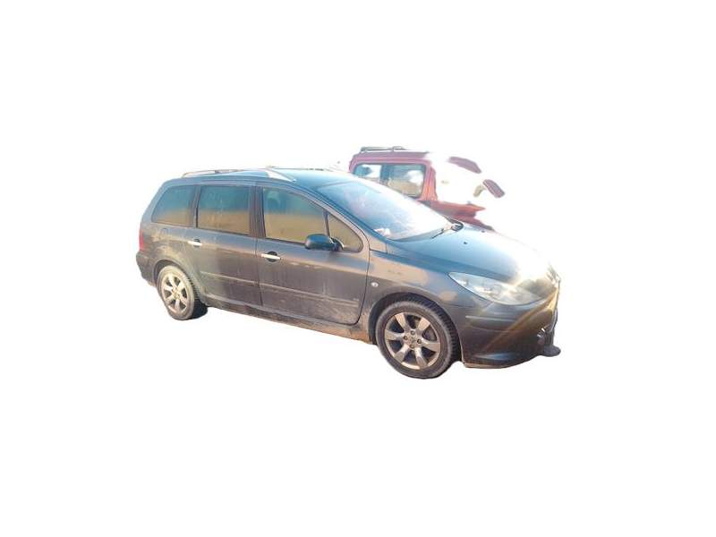 PEUGEOT 307 BREAK / SW (S1)(04.200206.2005)