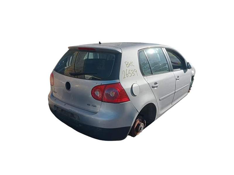 VOLKSWAGEN GOLF V (1K1)(10.20032008)