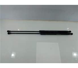 AMORTIGUADOR PORTON 534400W270 