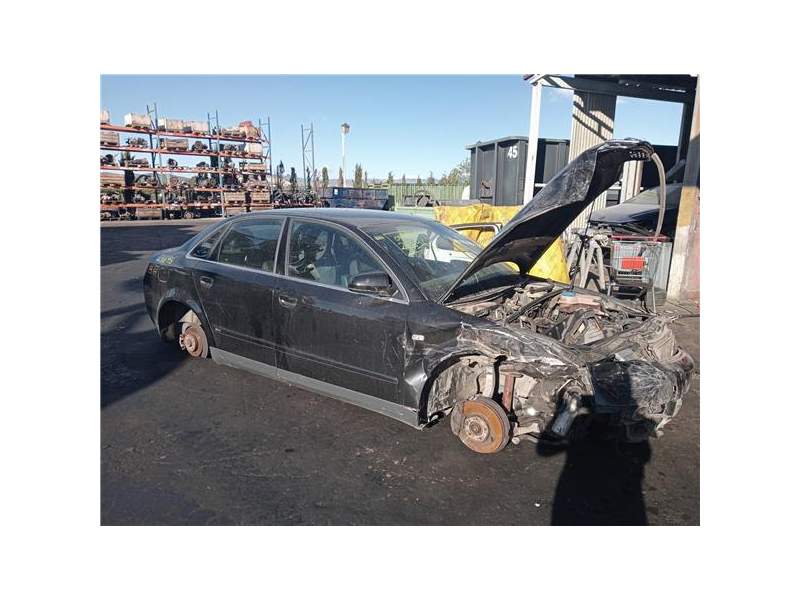 AUDI A4 AVANT (8E)