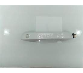 MANETA EXTERIOR DELANTERA IZQUIERDA 5H1837205F 