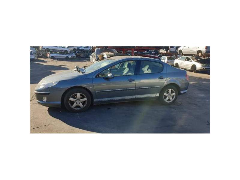 peugeot 407 (2004) del año 2004