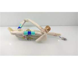 AIRBAG CORTINA IZQUIERDO 13251619 
