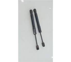 Recambio de amortiguador capo para bmw serie 1 berlina (f40)(2019) referencia OEM IAM 7882580370N  