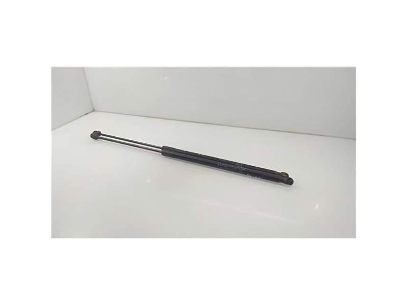 Recambio de amortiguador porton para ford c-max 1.0 ecoboost cat referencia OEM IAM AM51R406A10AE  