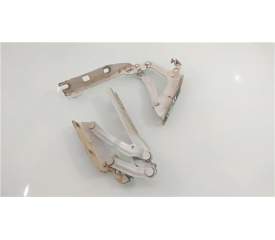 Recambio de visagras capo para volkswagen golf vi (5k1)(10.20082012) 1.6 advance bluemotion [1,6 ltr. - 77 kw tdi dpf] referenci