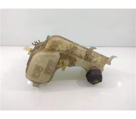BOTELLA EXPANSION 217100014R 