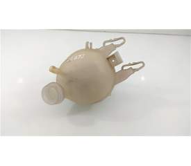 BOTELLA EXPANSION 9652621280 