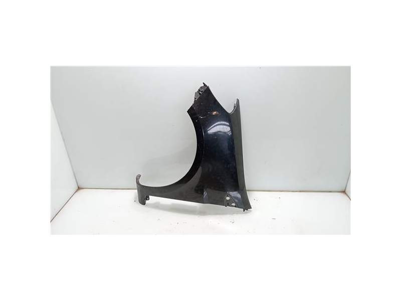 Recambio de aleta delantera izquierda para renault clio iii (2005) exception referencia OEM IAM   