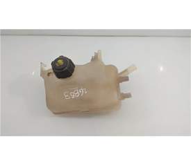 BOTELLA EXPANSION 217100005R 