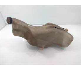 BOTELLA LIMPIA 
