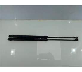 AMORTIGUADOR PORTON 80051425N 