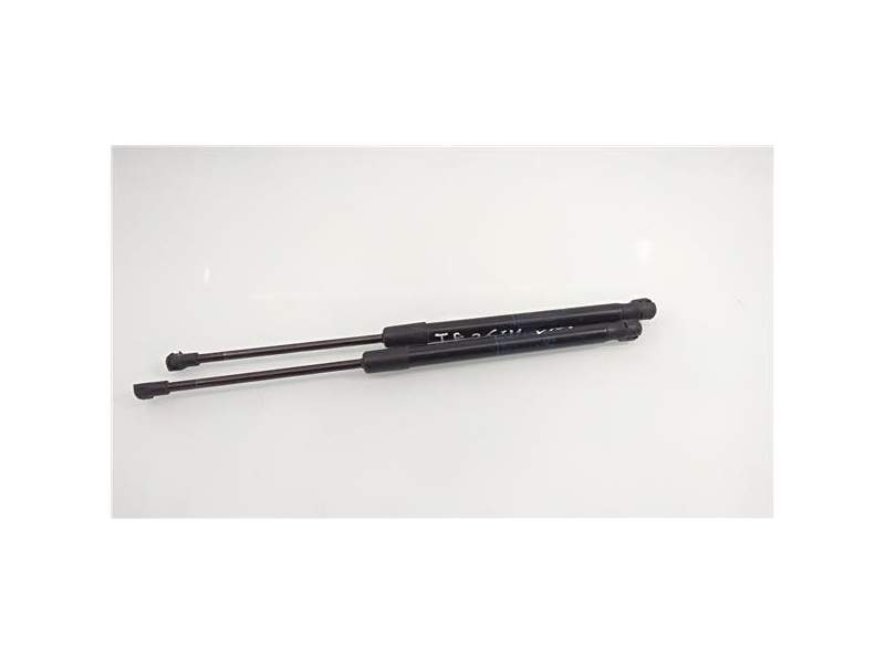 Recambio de amortiguador porton para bmw serie 1 berlina (e81/e87)(2004) 2.0 118d [2,0 ltr. - 105 kw turbodiesel cat] referencia