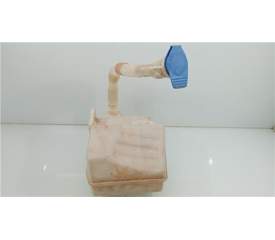 BOTELLA LIMPIA 1K0955453G 