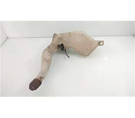 BOTELLA LIMPIA 8200146985 