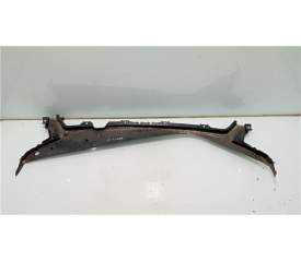 MOLDURA PUERTA DELANTERA DERECHA 149260300 