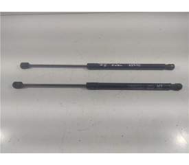 AMORTIGUADOR PORTON 817701W200 