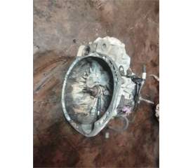 CAJA CAMBIOS MANUAL 8200546200 PF6010 