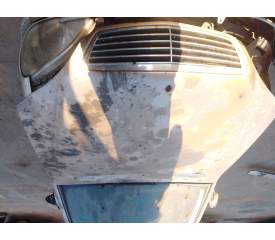 CAPOT DELANTERO 220880015728 