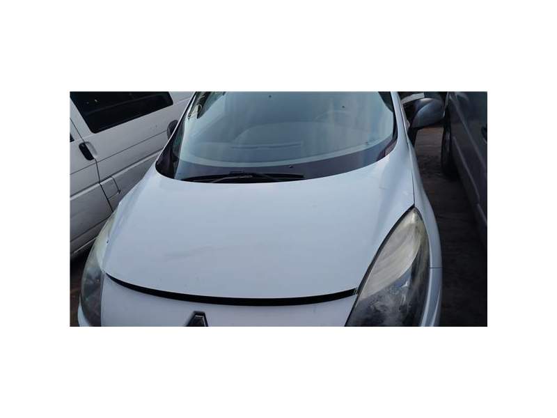 Recambio de capo para renault scenic iii (jz)(2009) 1.6 emotion [1,6 ltr. - 81 kw 16v] referencia OEM IAM   