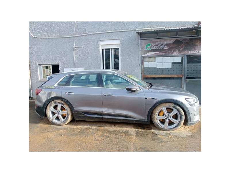 AUDI E-TRON (GEN)(01.2019)