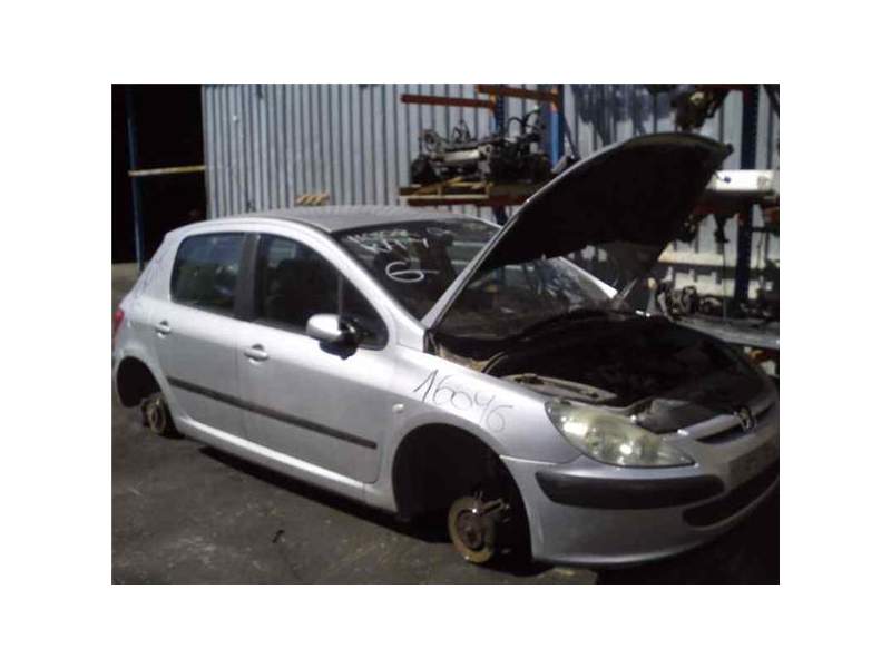 PEUGEOT 307 (S1)