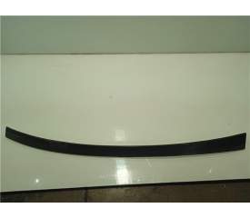 MOLDURA PUERTA DELANTERA DERECHA 