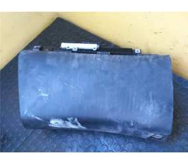 GUANTERA SALPICADERO 2116802487 