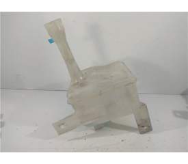 BOTELLA LIMPIA 