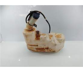 BOTELLA LIMPIA 