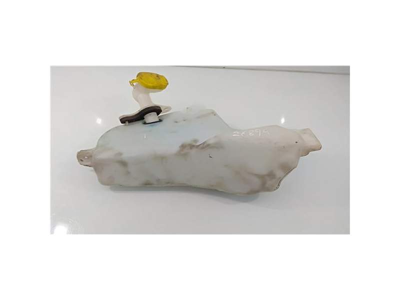 Recambio de botella limpia para renault megane i scenic (ja0) 2.0 cat referencia OEM IAM   