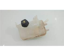 BOTELLA EXPANSION 217100005R 