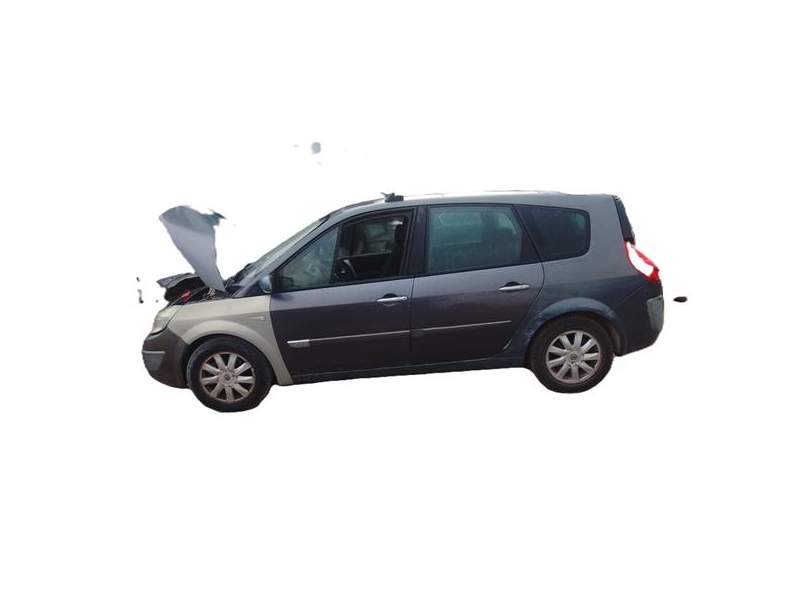 renault scenic ii (jm)(2003) del año 2007