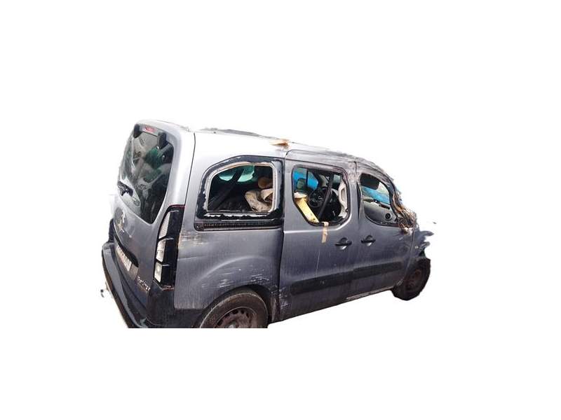 CITROËN BERLINGO FURGÓN (2008)