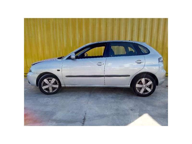 SEAT IBIZA (6L1)