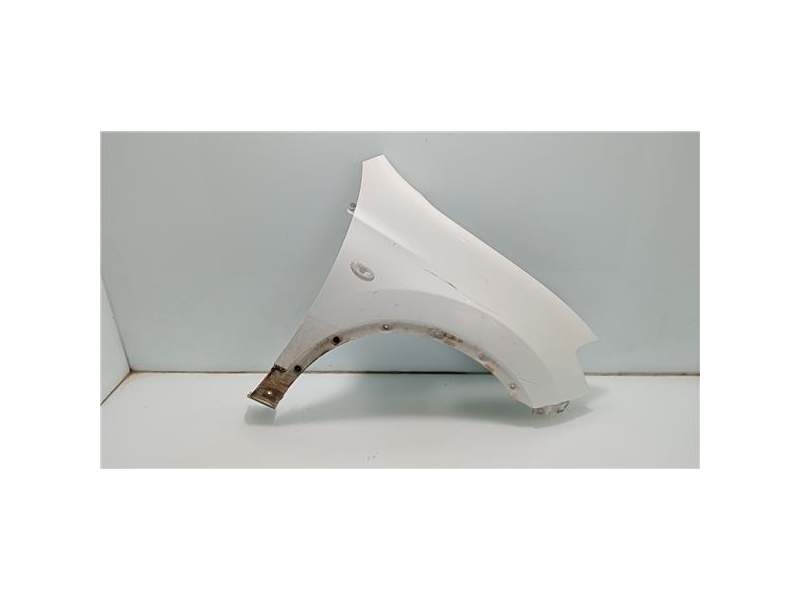Recambio de aleta delantera derecha para nissan qashqai (j10)(01.2007) referencia OEM IAM   
