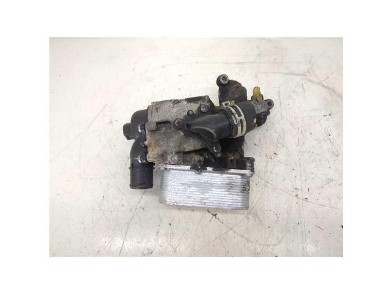 Recambio de enfriador aceite para renault trafic combi (ab 4.01) 2.0 dci diesel fap cat (114 cv / 84 kw) referencia OEM IAM   