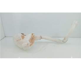 BOTELLA LIMPIA 9683988680 
