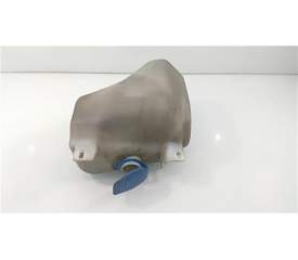 BOTELLA LIMPIA 1H0955453 