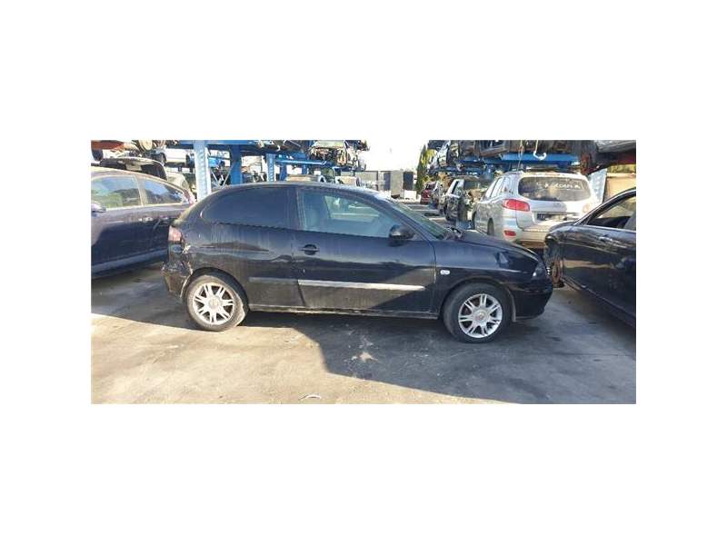 SEAT IBIZA (6L1)