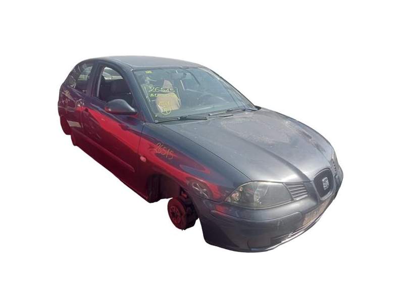 SEAT IBIZA (6L1)