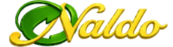 Desguace Naldo logo
